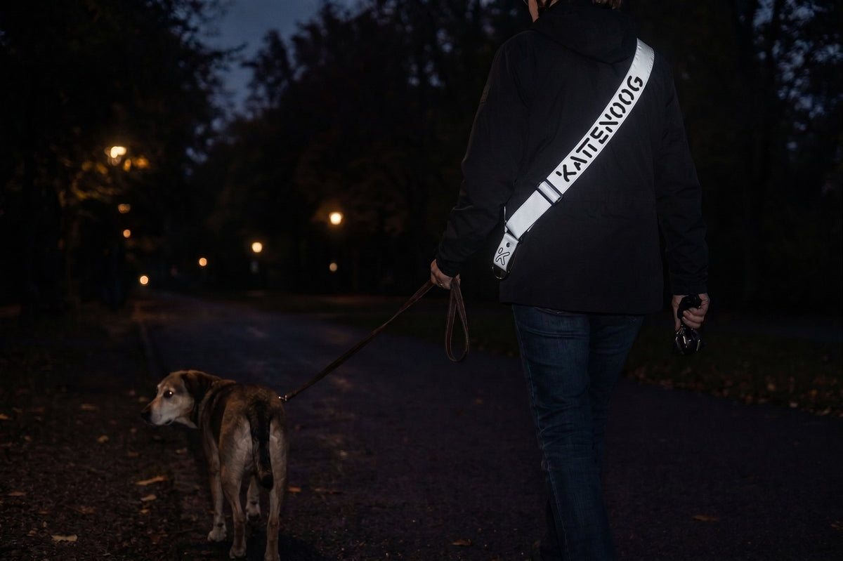 Abendspaziergang mit Hund: Frau trägt den reflektierenden kattenoog®-Reflektorgurt über der dunklen Jacke