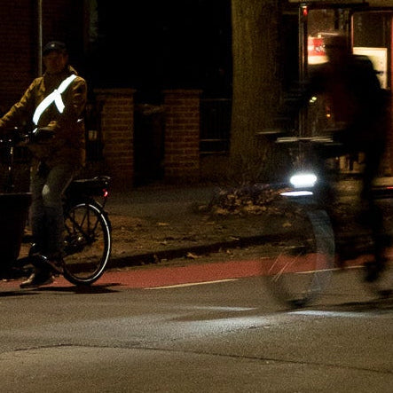 kattenoog mit Erweiterung Lastenrad